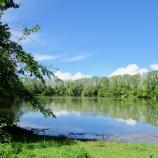 tuilseput